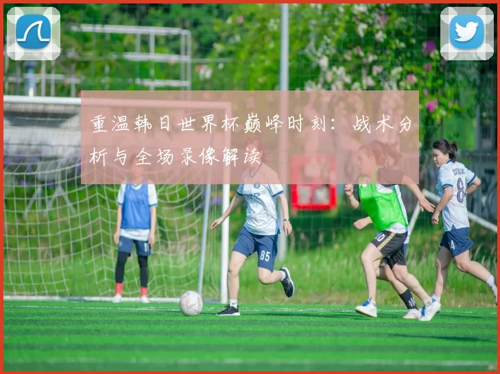 重温韩日世界杯巅峰时刻：战术分析与全场录像解读