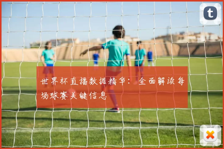 世界杯直播数据精华:全面解读每场球赛关键信息