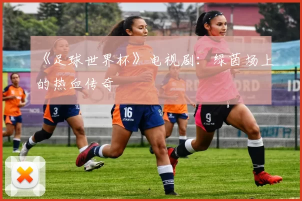 《足球世界杯》电视剧:绿茵场上的热血传奇