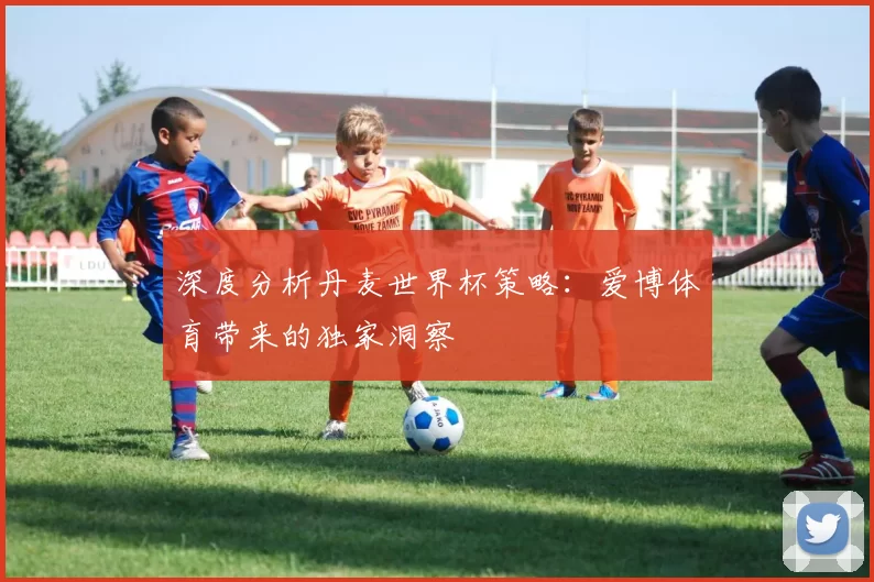 深度分析丹麦世界杯策略:爱博体育带来的独家洞察