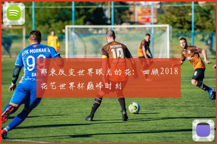 那束改变世界眼光的花:回顾2018花艺世界杯巅峰时刻