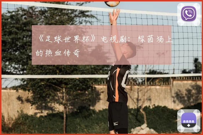 《足球世界杯》电视剧:绿茵场上的热血传奇