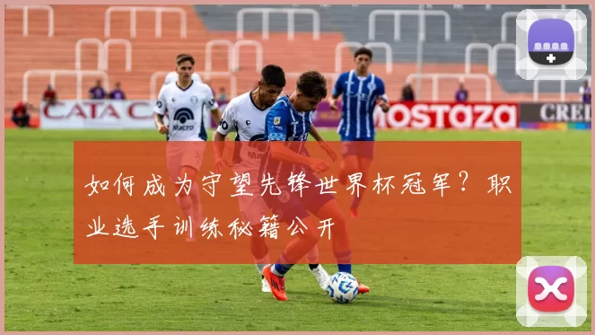 如何成为守望先锋世界杯冠军？职业选手训练秘籍公开