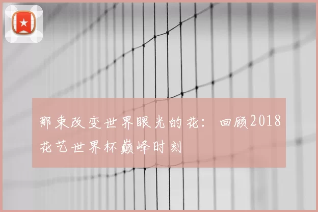 那束改变世界眼光的花:回顾2018花艺世界杯巅峰时刻