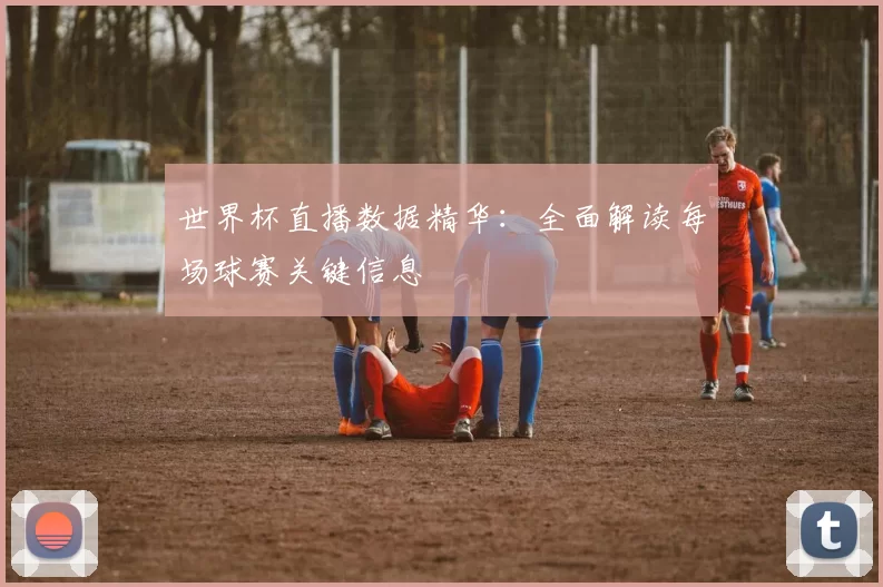 世界杯直播数据精华：全面解读每场球赛关键信息